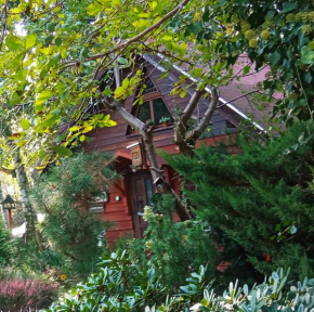 Apartament SECESJA, Czarnylas